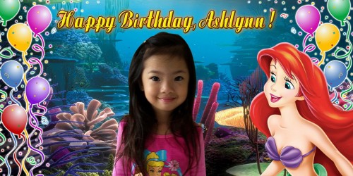 Princess Jasmin Birthday Banner Singapore