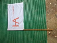 hand held flag