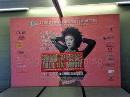 12 x 8ft LULU Stage Backdrop