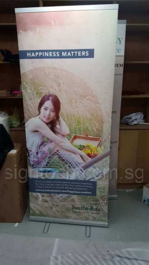 0.85m x 2m roll up banners - Join the dots