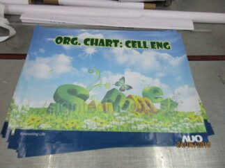 AUO Stickers printing