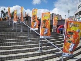 3 meter water base flag pole