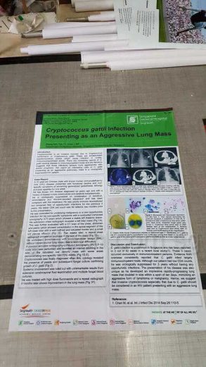 A0 size scientific posters (2)