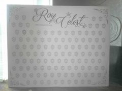 10 x 8ft Wedding photo booth