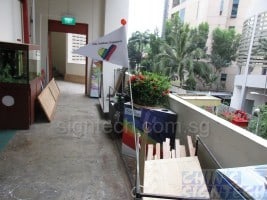 bicycle safety flags