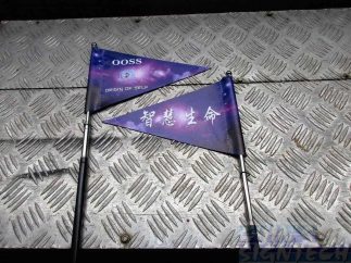 Double sided telescopic tour guide flag