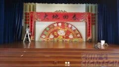18 x 8ft Chinese New year backdrop