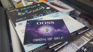 Flag for tour guide flag pole