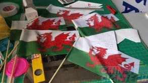 Custom Flags with 60cm pole