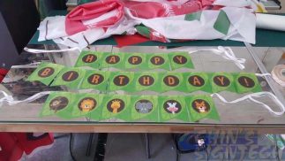 Custom Bunting printing