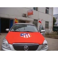 car-hood-flag