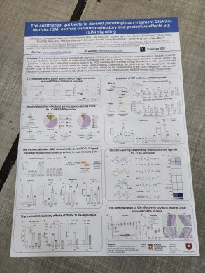 AO size fabric poster