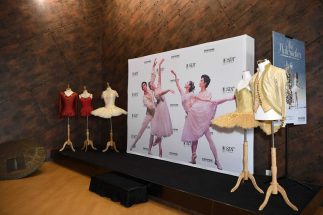 SCDT portable backdrop