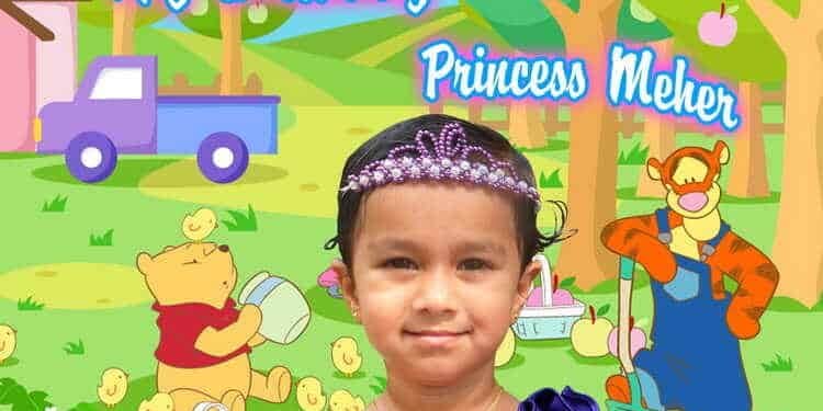 Winnie the Pooh Birthday Banner Singapore