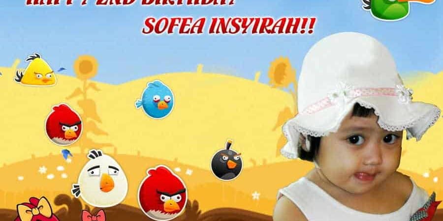 banner printing for Angry Bird Birthday Banner