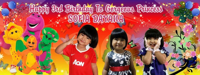 Barney Birthday Banner Singapore