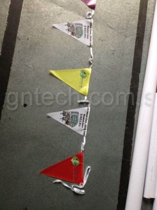 Triangle Pennats for school
