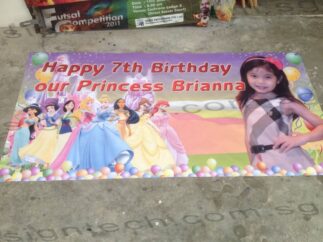 birthday banner with Disney Princess design